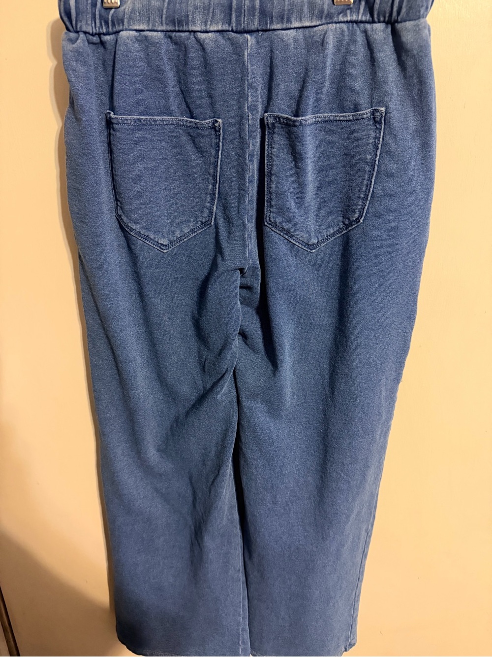 Driftwood XSP Floral Embroidered Blue Cotton Jogger Pants Boho Cottagecore - Picture 8 of 10